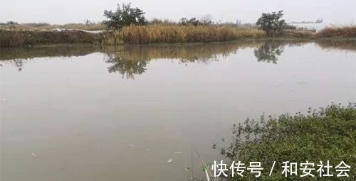 钓灵|天冷钓不到鱼?那是策略不对路子,5个调整策略,助你板鲫连竿上