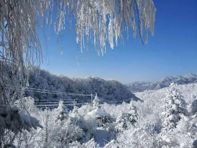 胜地|宝鸡这里雪景迷人，岭南公园成网红打卡胜地！