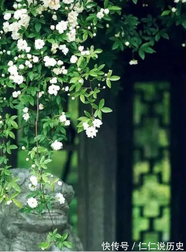 美好的时光!教人知道已春深,十首春深的诗词,去珍惜春天的每一寸时光!