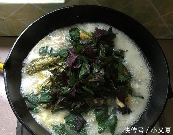 黄骨鱼|无论炖什么鱼, 只要没有“这1步”, 炖出来的鱼不老不腥, 肉特嫩