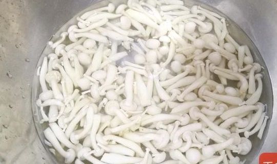 绿豆|小暑过后该吃它了!维C含量是绿豆的3倍,10秒做出一盘减脂菜