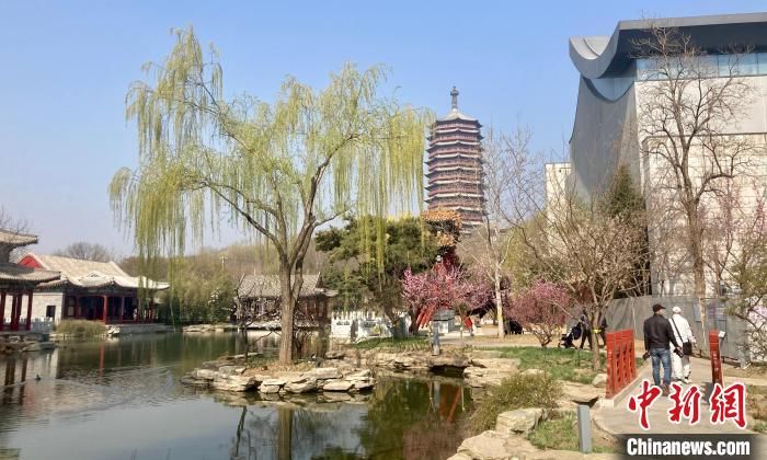 中国园林博物馆十周年推十项展览 举办多主题文化活动