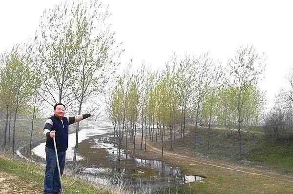 历史|阜南历史之谜：岳飞来过黄岗贺胜台？