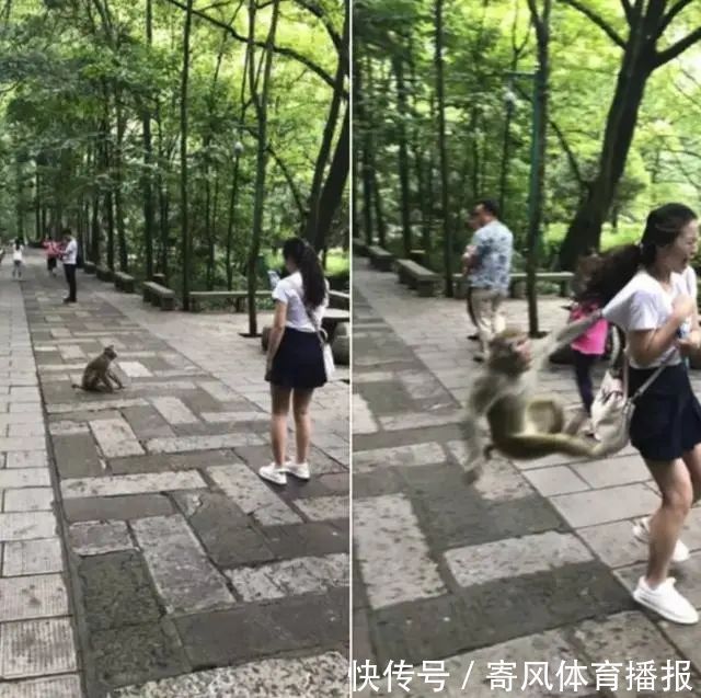 |10张有趣的图片,图片才能看出搞笑的地方