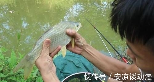 钓鱼，饵料用腥味还是香味好？（建议收藏）