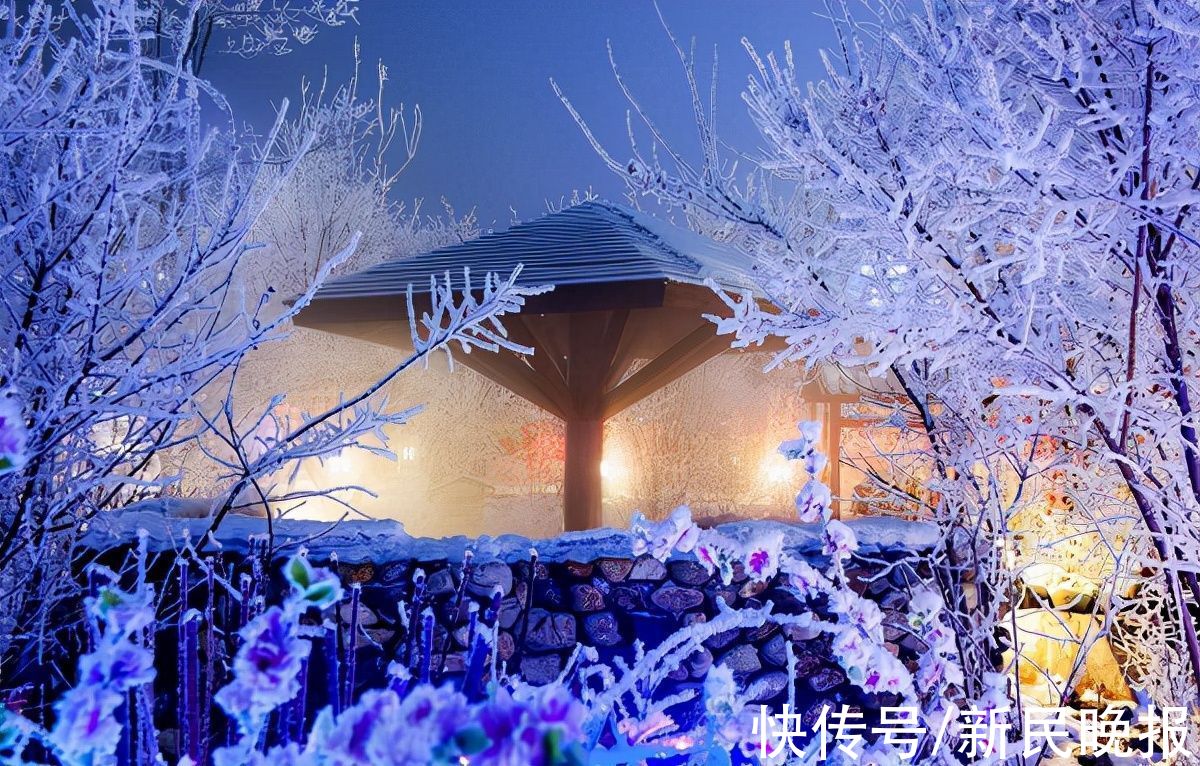 目的地|赴一场冰雪奇缘之旅 黑龙江148个冰雪旅游目的地等你去探秘