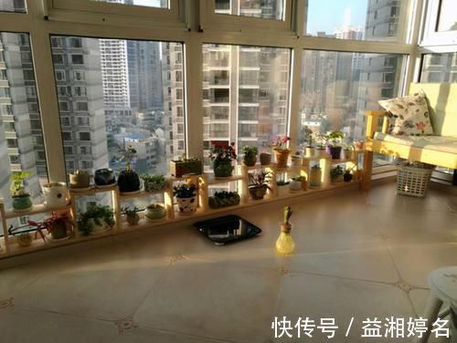 改造|6平方米阳台被老公用了两万改造，有各种新花样，邻居都来夸奖