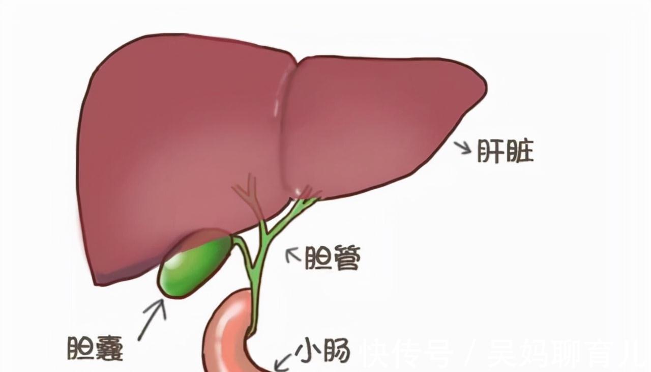 营养|生花生和熟花生，哪个营养更高？注意：这5类人最好少吃，要听劝