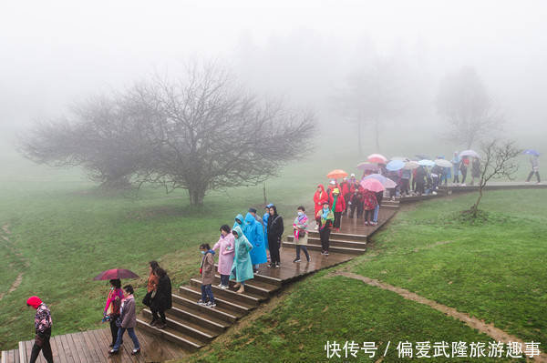 一票到底、一线多游!乘专列游武隆轻松又自在