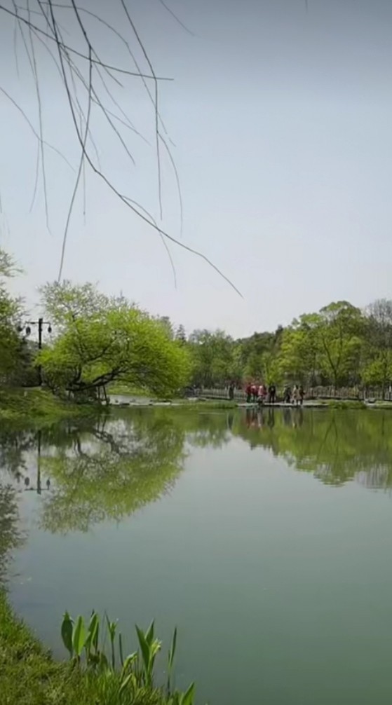 湖面|青山绿水的桃花源景区，足以令人沉醉