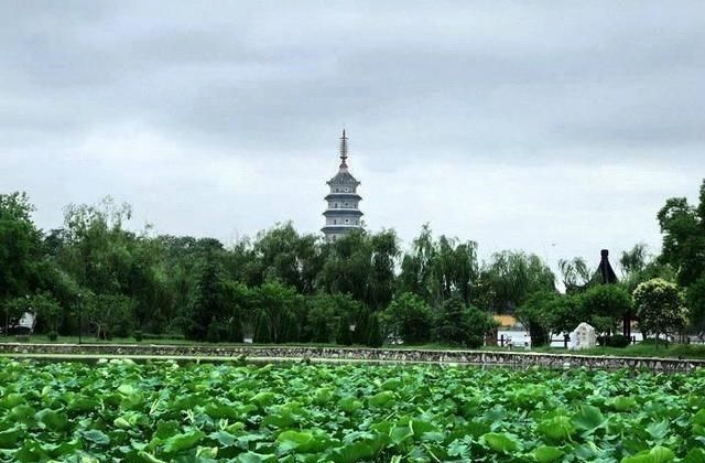  水中|涟水县“水在城中、城在水中、城中有湖、湖中有岛”的城市风景