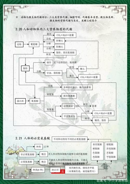 高考729分美女学霸：把高中生物“浓缩”成39张图，3年最低不下95