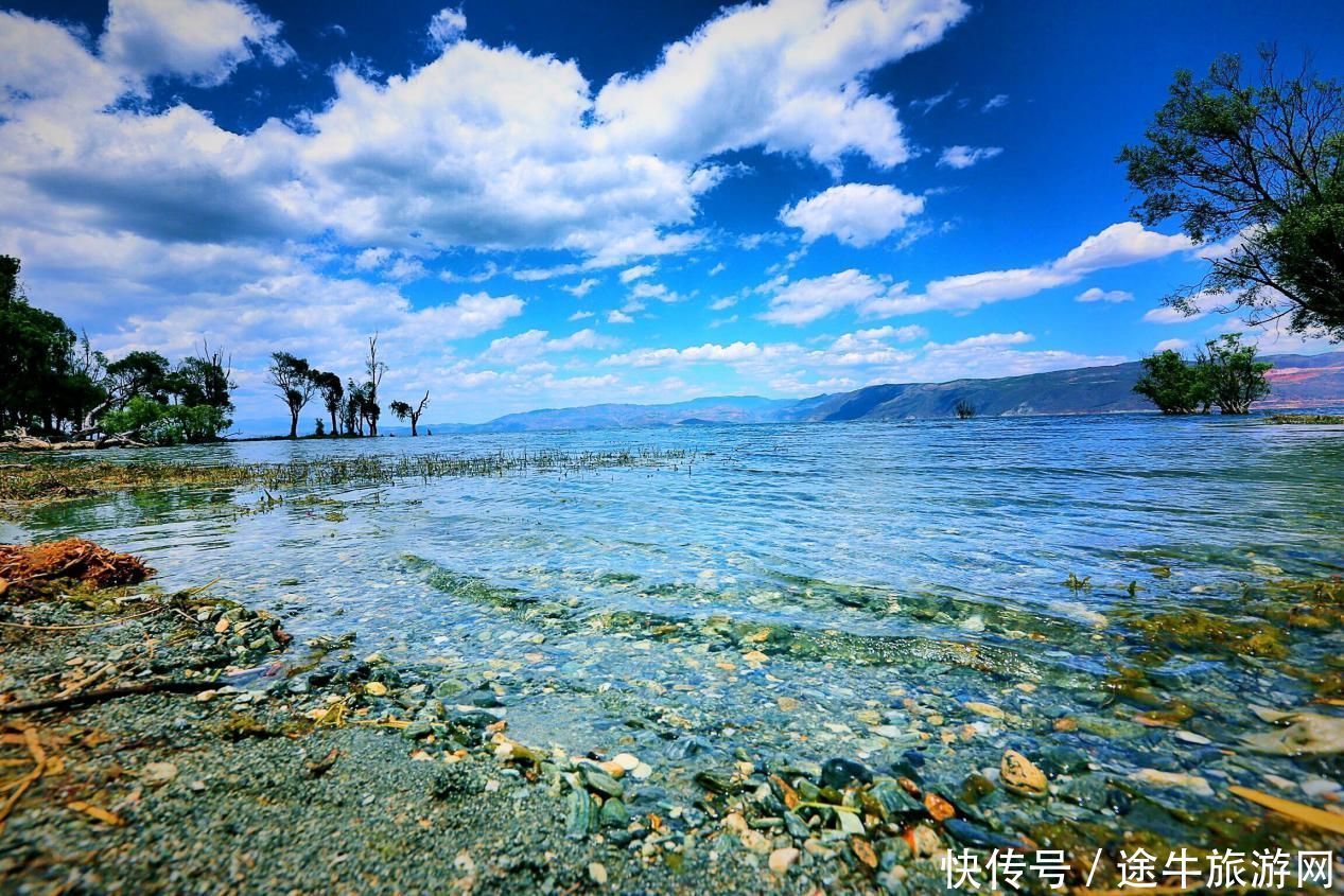 被遗落的才村，一片花海