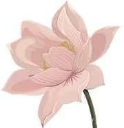 做人#易经里那些做人的智慧,落实一条一生无忧