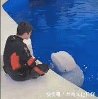 结尾&“你认为哪部小说的结尾堪称神来之笔”哈哈哈哈,评论区个个都是狠人