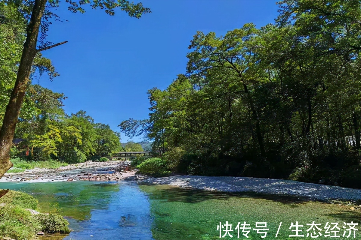 陈招生#株洲诗人陈招生组诗四首 登高赏秋 欢度重阳