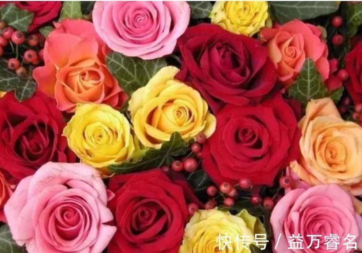 3种花比香水还好闻,一养就上“瘾”,花大色艳很漂亮,谁养谁爱