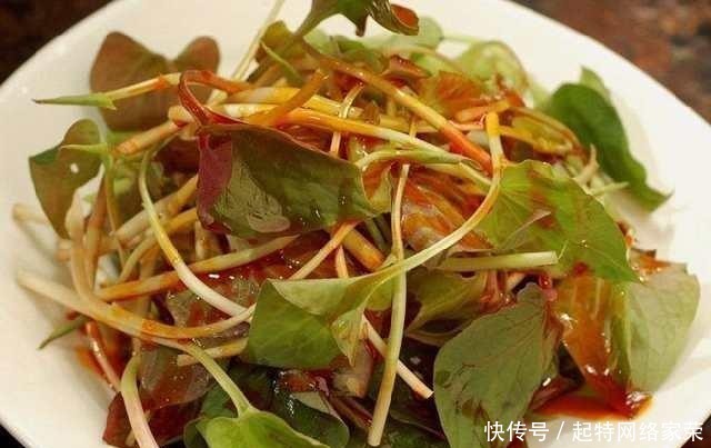 却是|这种菜很难吃, 却是天然的抗癌明星, 可惜好多人都不知道
