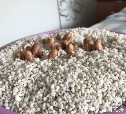 好吃|炸花生原来还可以这样利用,太聪明了,又营养又好吃!太赞了!