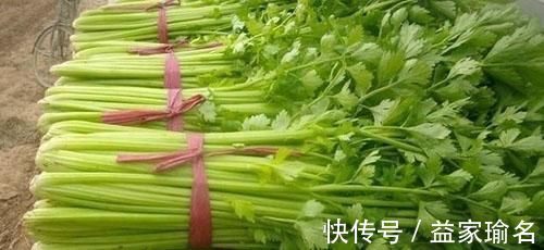 无花果|减肥最“猛烈”的几种碱性食物，比酸奶还刮油，常吃赘肉不再纠缠