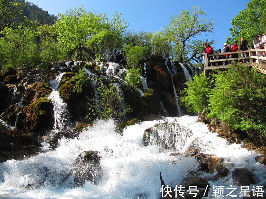 瀑布|游历九寨沟，乘观光车至箭竹海，沿步道赏遍九寨精华