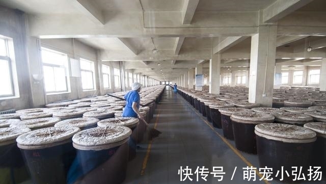 产地|买醋时,专挑这3个产地的醋,不花冤枉钱,全是优质好醋