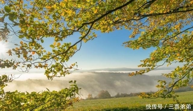 金牛座|越有本事，反而越低调的三个星座，大智若愚，深藏不露