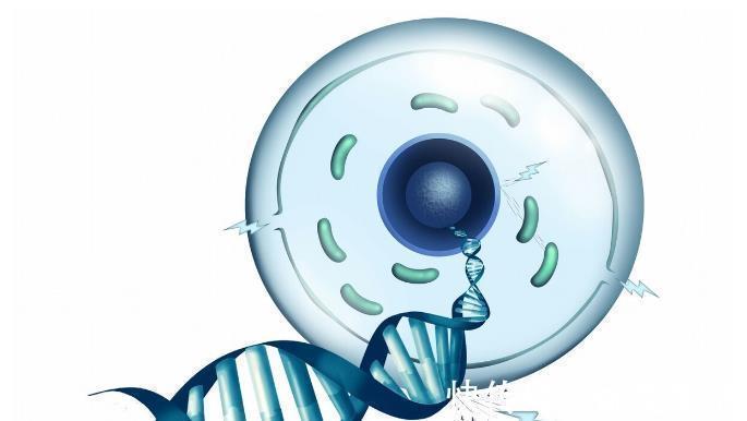 帕金森|辅酶Q10保护心脏,抗帕金森,抗癌治头痛,哪个是真?哪个是假