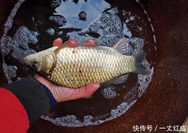 戒钓|钓鱼人之殇:背锅,钓最少的鱼挨最毒的打,真的要戒钓了吗?