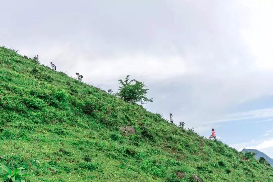 概念|野腾心概念：卓西牧场 7.28 想带你一起，去看“小塔公草原”的闲云牛马！