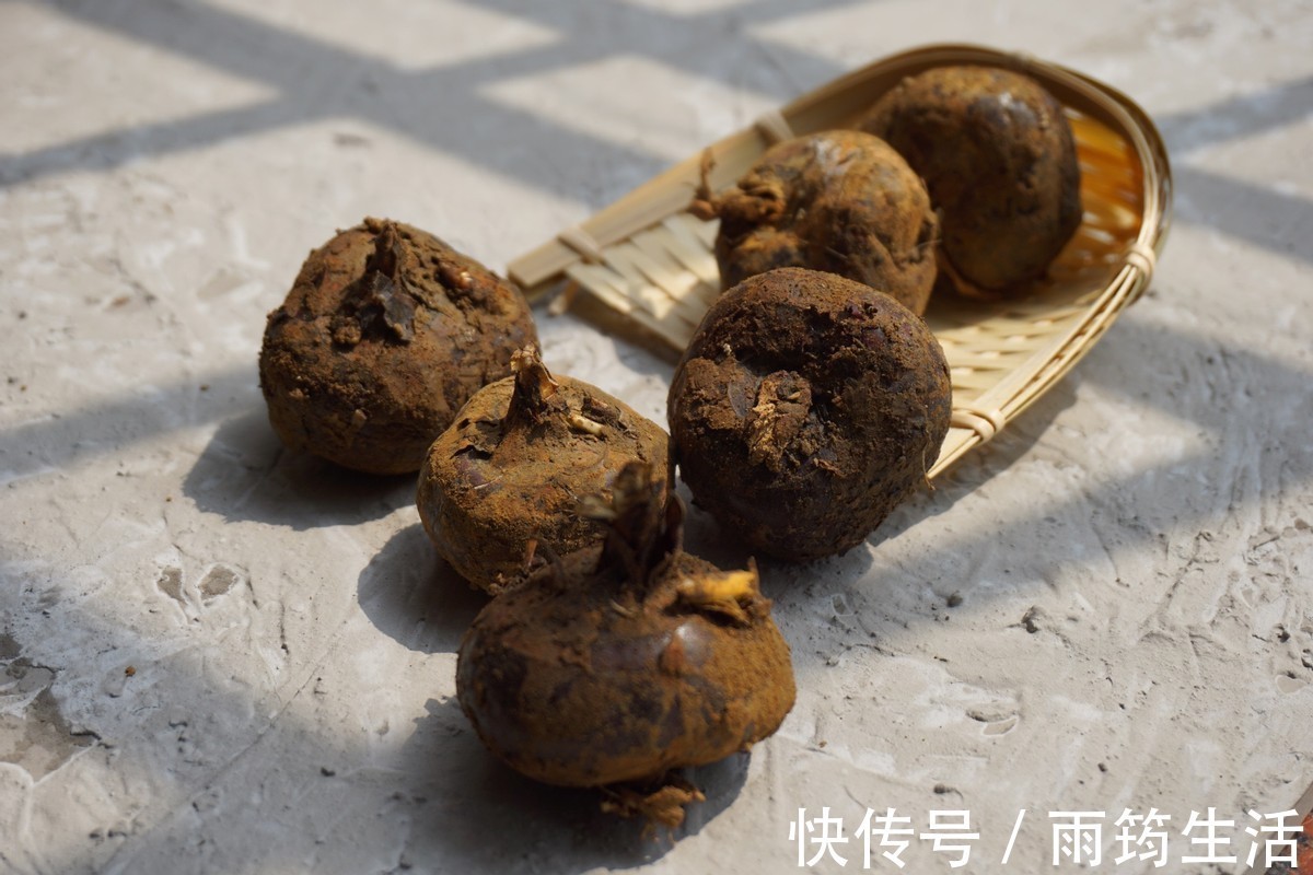 甜玉米|自制南瓜玉米马蹄梨子饮，营养美味，甜甜的，孩子很喜欢喝