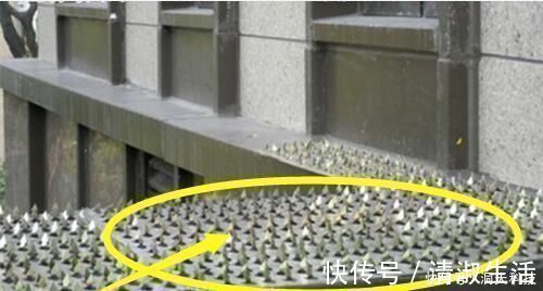 防盗网|头一次见有钱人家阳台不装防盗网，这样装太聪明了，小偷都怕哭了