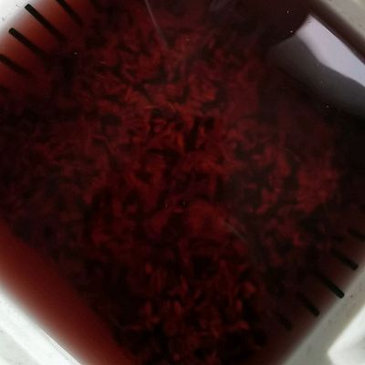 蒸好|饺子皮烧卖