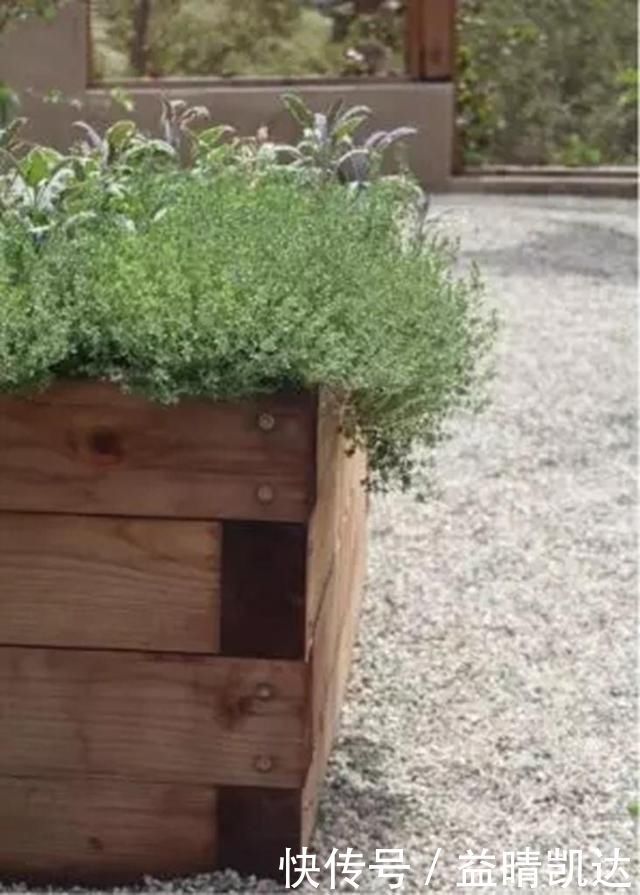 现在有个菜园才是人生赢家,450㎡可食用花园,实现你的吃货自由