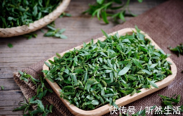 鱼腥草|66种野菜大图片，带你见识不同的野菜和吃法，你想要的野菜这里有