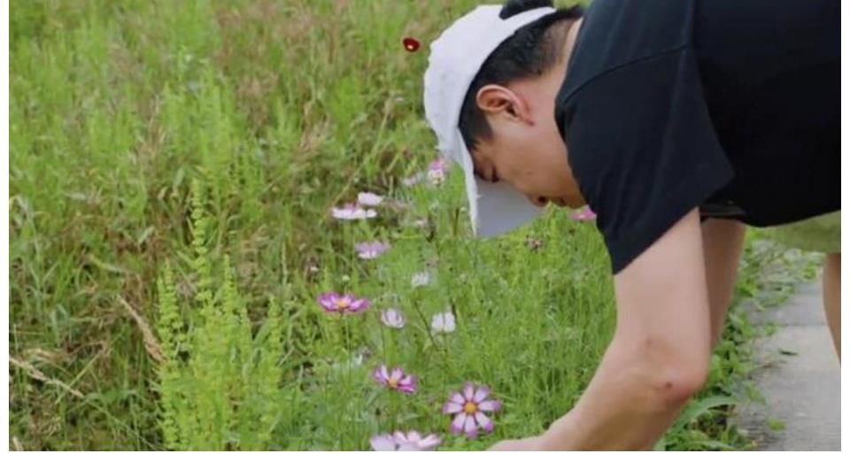 蘑菇|黄渤当面直言张艺兴的短板，叮嘱其别忘记生活，重现“极挑”情谊