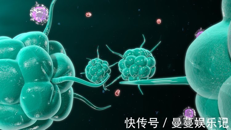 抗癌|硒，抗癌元素之王！6种食物是含硒“大户”，但是很多人都不爱吃