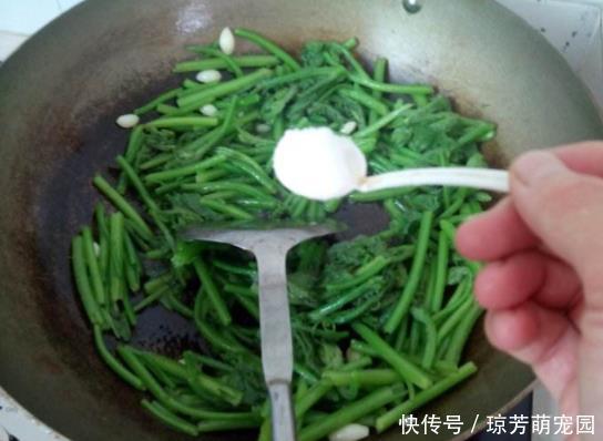 放过|遇到这菜别放过,2块钱一斤,菜嫩汁甜,炒2斤都不够吃