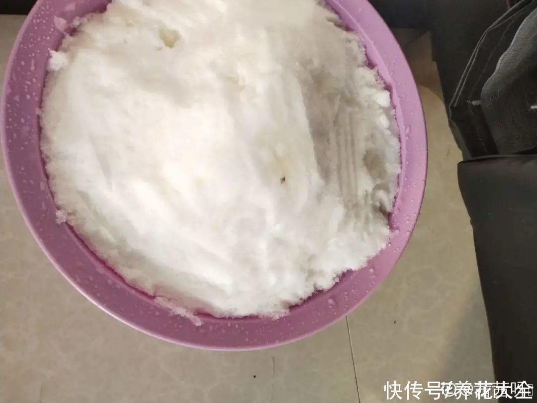 门前不栽竹,门后不留树,老祖宗传下来的养花谚语,特别准