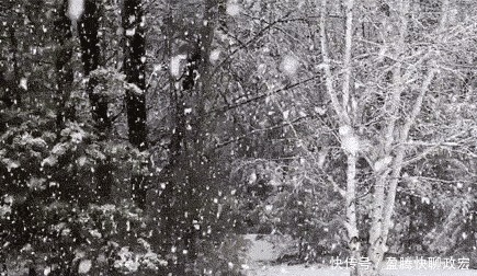 实在|贵州旅游｜贵州下雪啦！这些雪景图实在太美了！你那边下雪没？