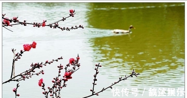 山寺$这3首著名的诗也曾备受质疑,是抬杠还是诗句确实有问题?