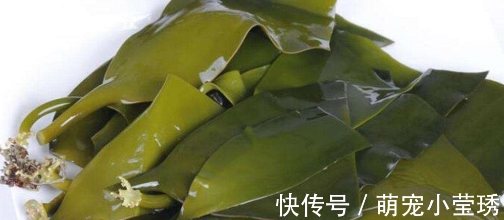 凉拌菜|海带和它是天敌，万不可放一起，很多人不知道，回去告诉家人