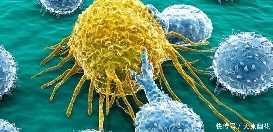 不论男女,每天坚持早起吃“1粒”,一月后可能有几个好处靠近