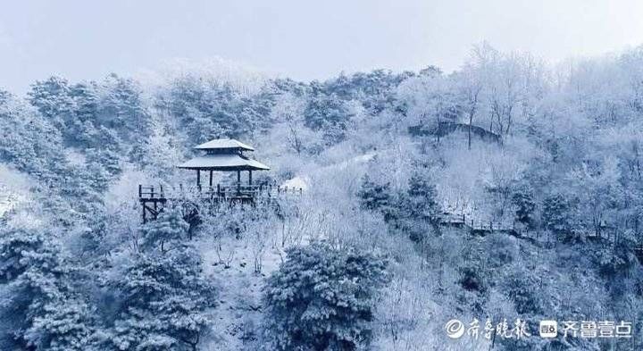 山地势|犹如水墨山水画卷！济南九如山出现“雾凇”奇观