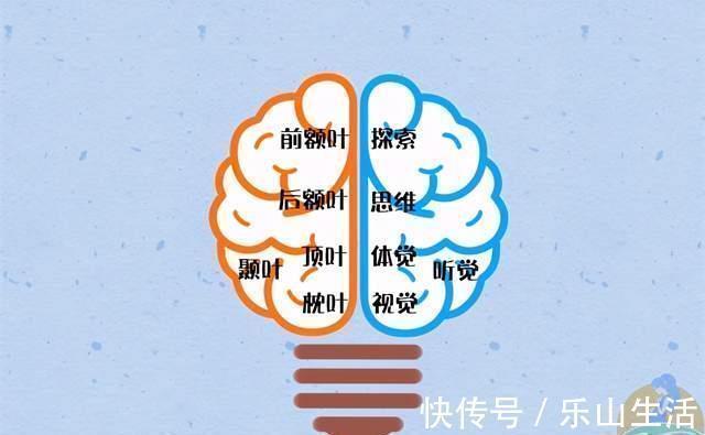 右脑|孩子身上有这几个坏习惯,标志其右脑发育好,将来容易成为小学霸