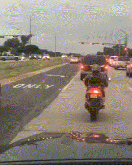 |搞笑GIF:第一次见女网友,之前她一直说是个胖子,今天一看,果然是