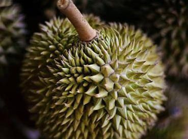 水果|女人养宫就是养命,常吃3种水果,滋养卵巢,子宫也慢慢变好