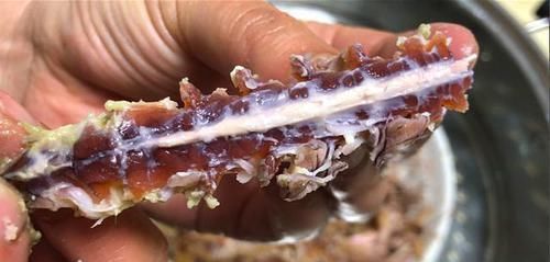 皮皮虾|你还在买皮皮虾吃吗知道的人还不多,看后麻烦转告身边人