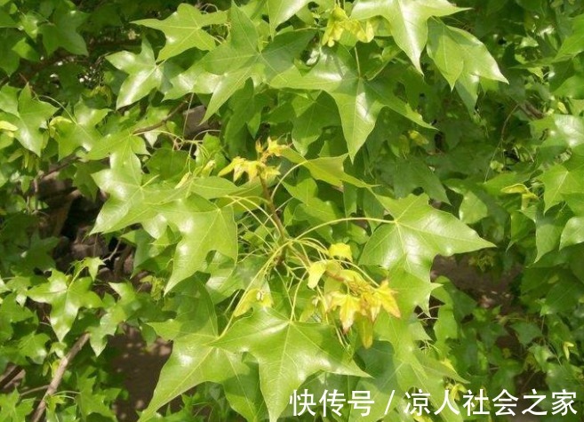 好觉|更年期一到，就进入“失眠期”？做好3件事，让你也能睡个好觉