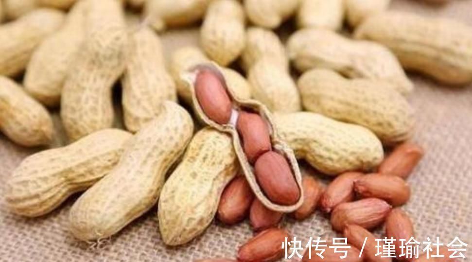 三种东西扔了很可惜,随手一砸扔进花盆里,养啥都爆盆,美极了